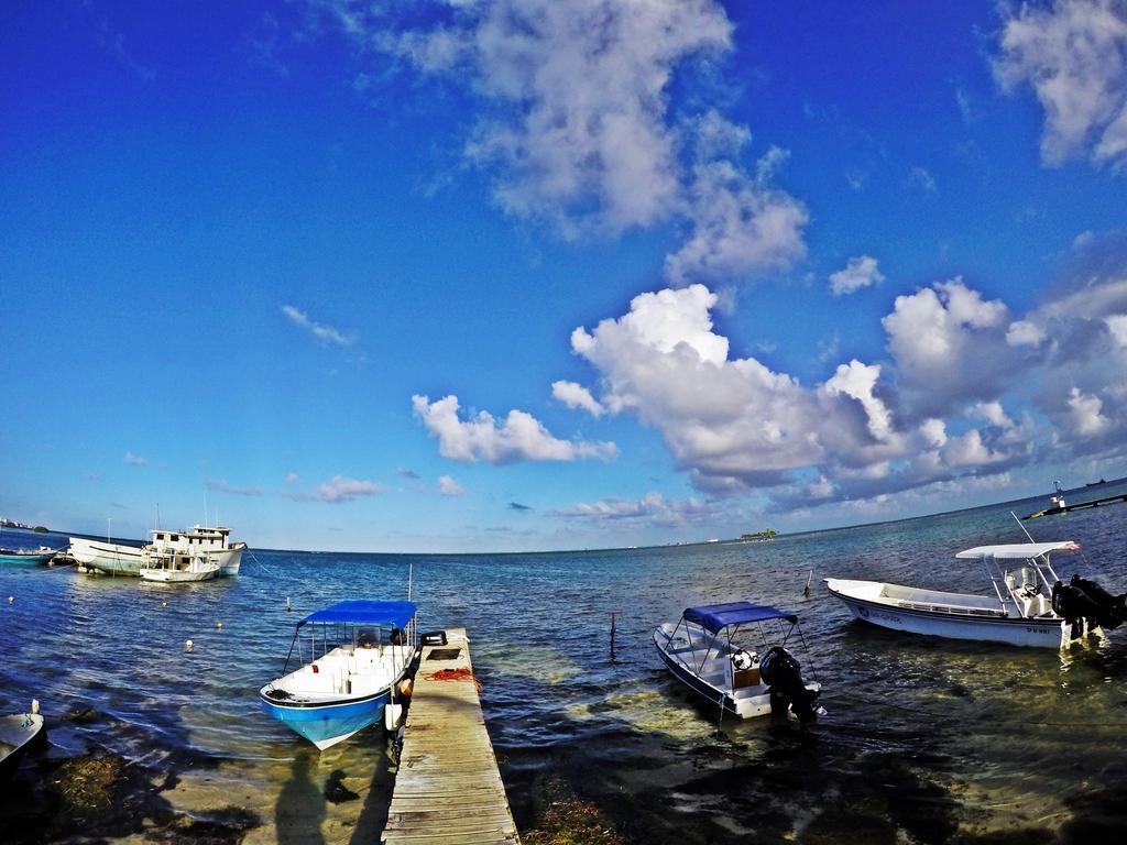 Posada Donde Pilo Avila Otel San Andrés Dış mekan fotoğraf